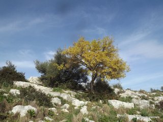 traro-30-12-2021 18-29-18